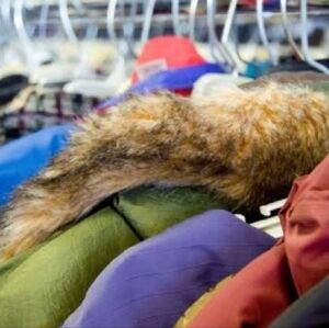 Unlisted Women's Jackets Hoodies & coats oh my